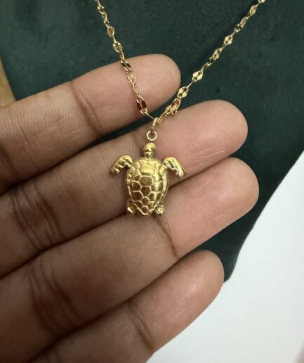 Turtle