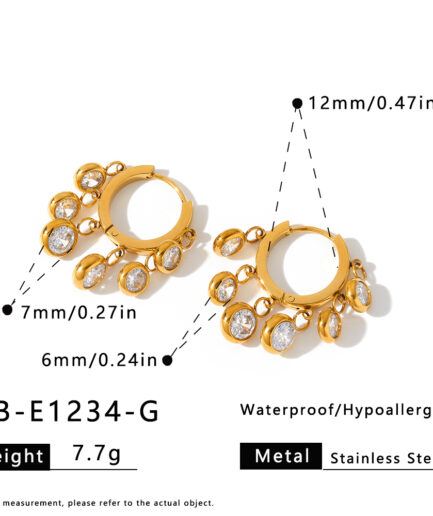 Olympics Zircon Hoops